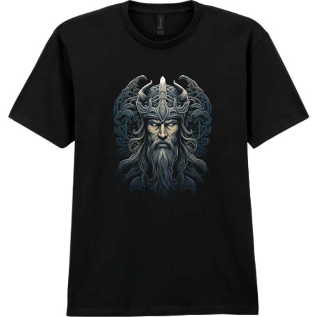 Skandinavian Varrior II