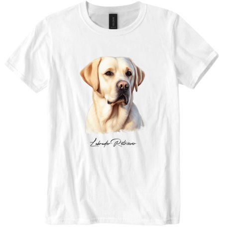  Labrador Retriever