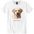 Labrador Retriever II