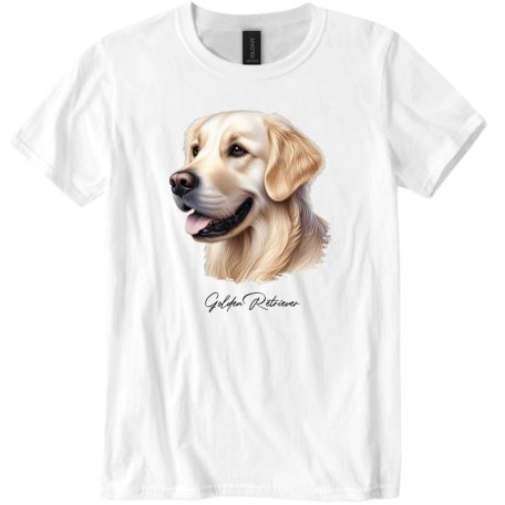 Golden Retriever II