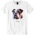 Bulldog