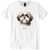 Shih Tzu III