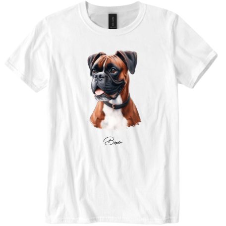 Boxer III