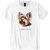 Yorkshire Terrier II