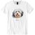 Havanese