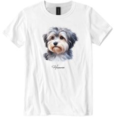 Havanese II
