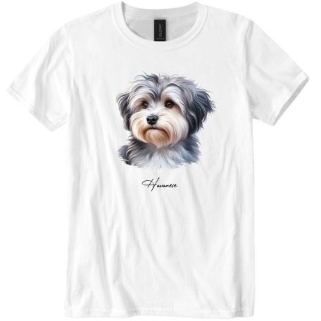 Havanese II