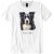 Border Collie II