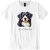 Bernese Mountain Dog II
