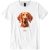 Vizsla II