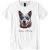 Australian Cattle Dog