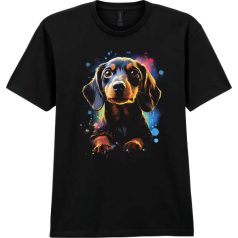 Little Dachshund