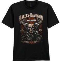 Harley Davidson